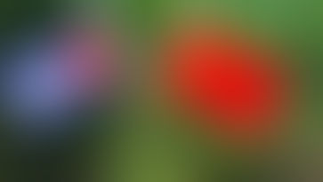 China defiende la soberanía de Cuba en medio del juego geopolítico