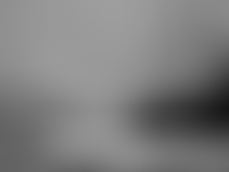 Altor Capital reactiva el ingenio Puga con aprobación de Cofece: 800 familias recuperan sustento