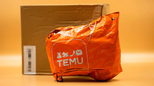 La empresa china Temu arregla una demanda federal de la FTC mediante un acuerdo que incluye una multa de 2 millones de USD y compromisos de modificar sus prácticas de comercio electrónico.