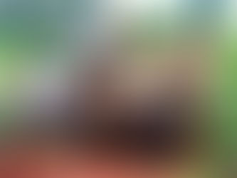 Reactivación cañera en México: Ingenio Puga supera metas y fortalece la economía familiar del campo