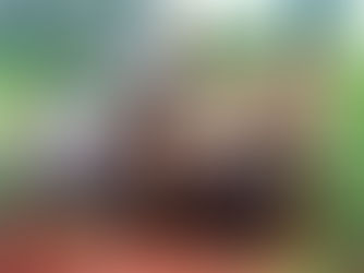 Reactivación cañera en México: Ingenio Puga supera metas y fortalece la economía familiar del campo