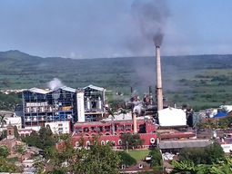 Ingenio Puga: Nuevo impulso para la agroindustria en Nayarit