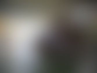 Acapulco recibió la visita del portahelicópteros anfibio "Dixmude" de la Armada Francesa