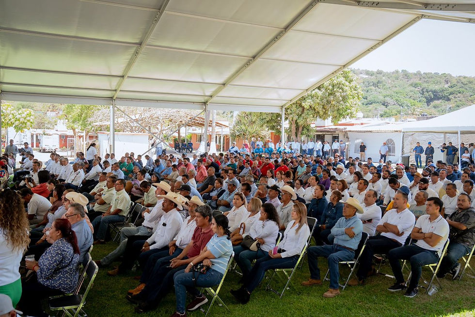 Grupo Altor y Fernando Aportela convierten un concurso mercantil en un caso de éxito: el rescate del ingenio Puga
