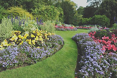 Garden with flowers and a lawn path
