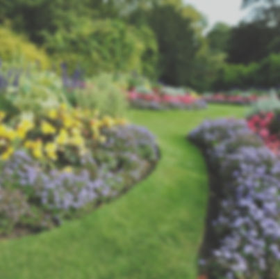 F.B & Sons, Lawns & Landscapes project photo
