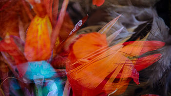 Nest of Life. Abstract Art, Abstract photography