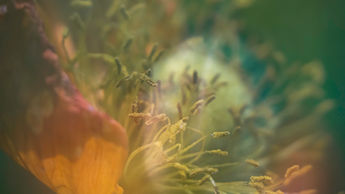 Spring is in the air