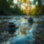 zen stones in shallow water on the left part of the middle of the picture, natural forest