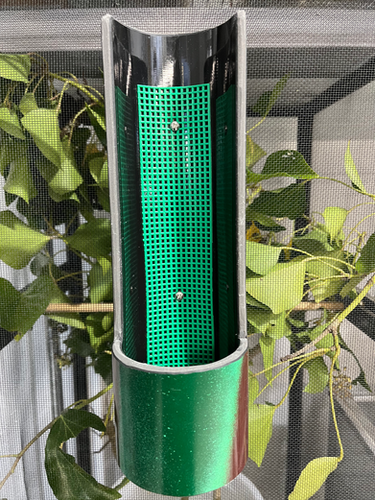 chameleon feeder cup