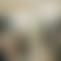 séminaire avec collaborateurs