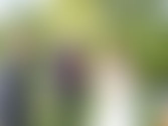 10 raisons de prendre un magicien pour animer son mariage | Vadrame Magicien