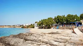 drios-top-1-1280.webp