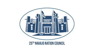 LOGO - 25th NNC Chamber 200dpi copy.png