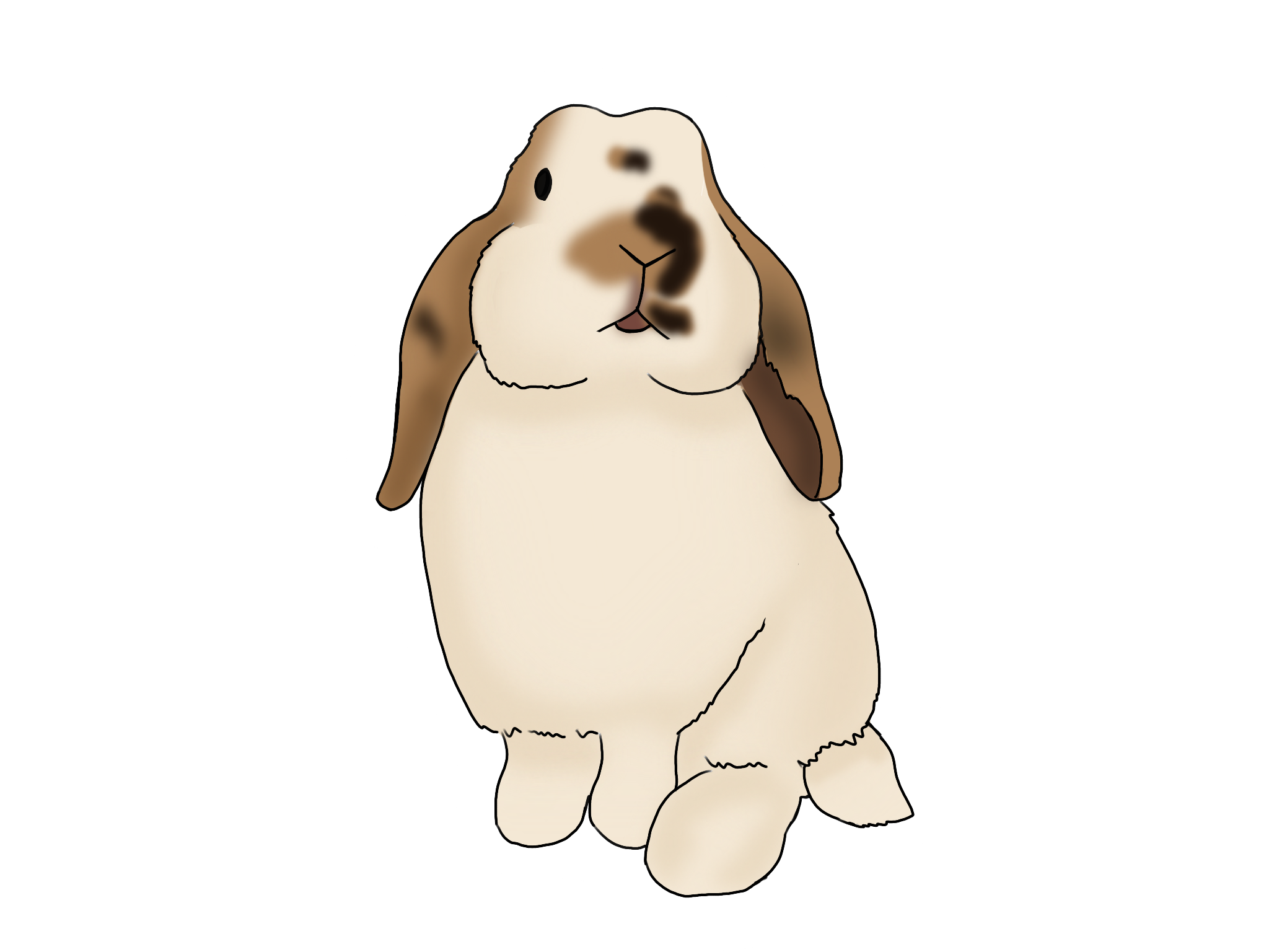 Custom Stickers