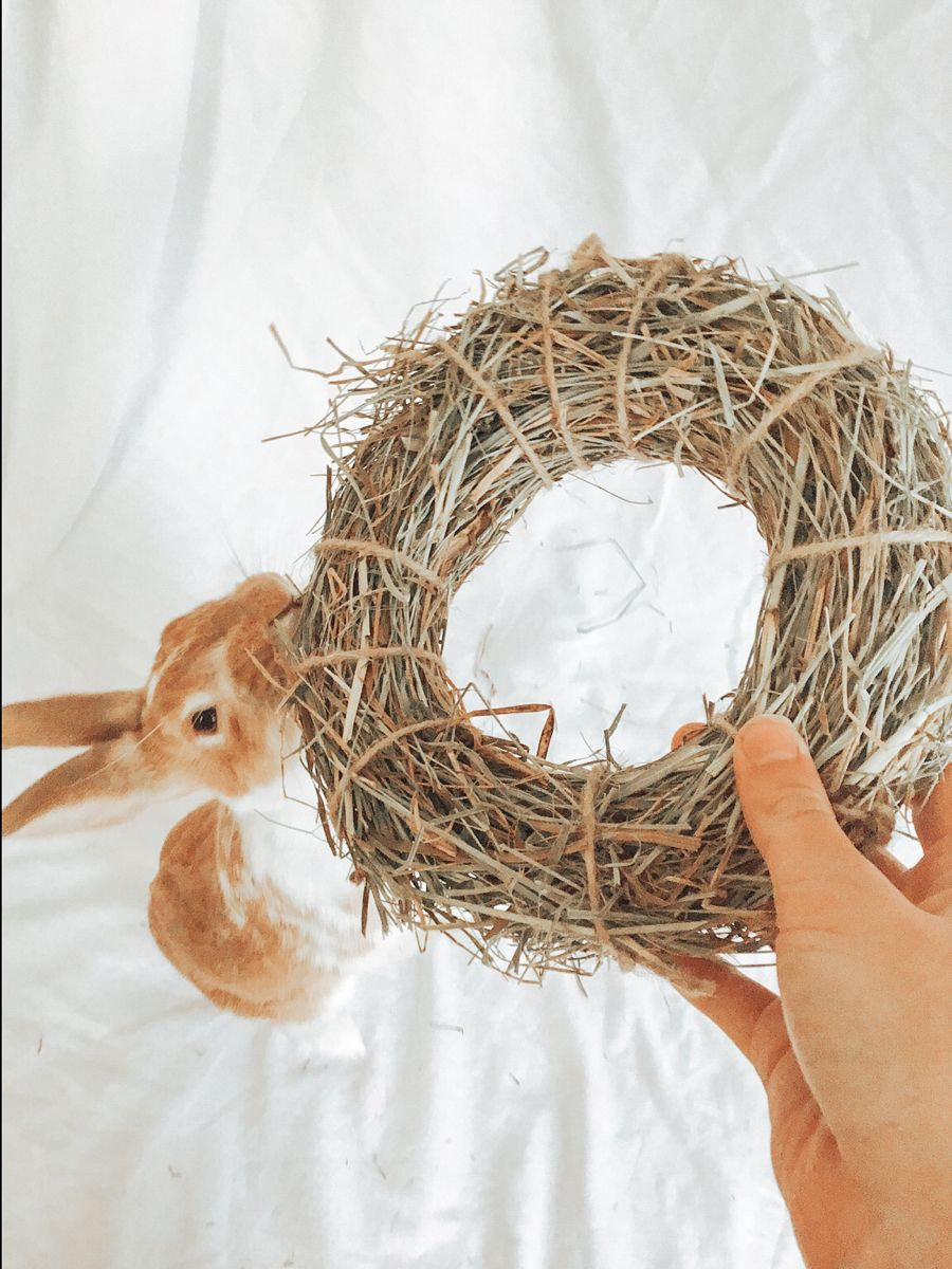 Hay O's Rings ~ Enrinching Rabbit/Guinea Pig Toy, Orchard, Oat, And Timothy Hay