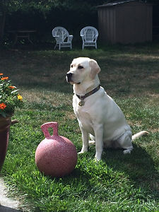 IMG_4692.jpg