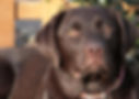 402776_304234839615353_123057615_n_edited.jpg