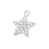 Miniatura: Charms Star Con Zirconi Bianchi Argento 925  10mm