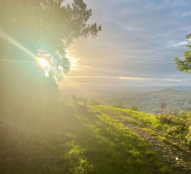 Not the January Blues at Tibbiwell Alpacas