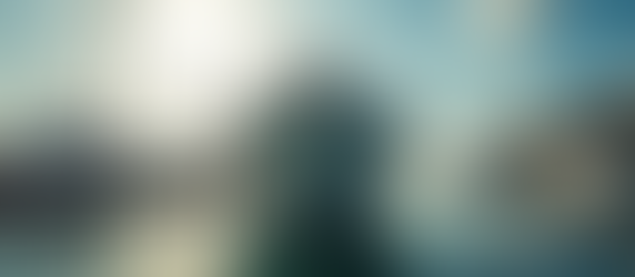 A Guide to Miami's Boat Charters