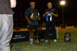 2012DSC_0173.jpg
