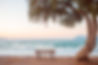 Pause banc lac_edited.jpg