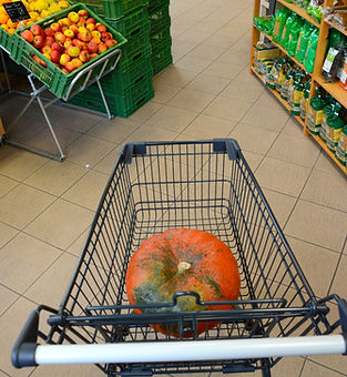 Thomas Alföldi_FiBL_Alfoeldi_Biohaus_Frick_Laden_Produkte_Nov2015 (39).jpg_ biomedialibrar