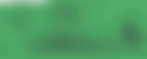 What is next for the History Document?