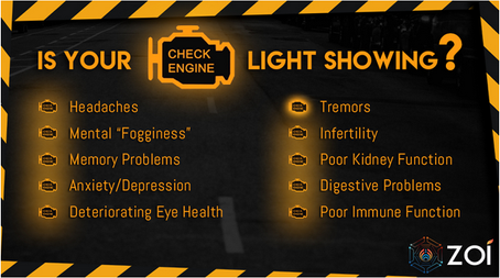Check Engine Light – How Healthy is your Immune System?