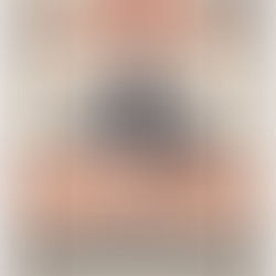 Belgian Metropole Chapter