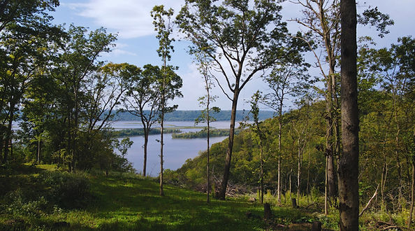 deer island river view.jpg