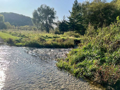 How to Sell a Home or Cabin in a Flood Plain