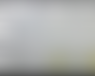 Everwide newsletter No.441