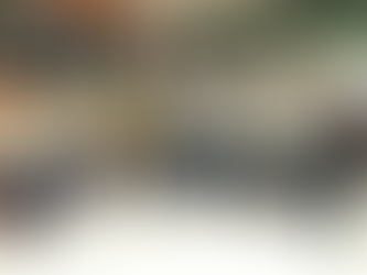 Everwide newsletter No.471 