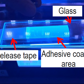 Everwide newsletter No.462