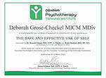 Oshawa Psychotherapy Training Institute Deborah Grose-Checkel Class Certificate