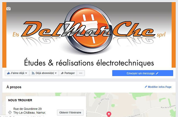FACEBOOK PAGE DELMARCHE.JPG
