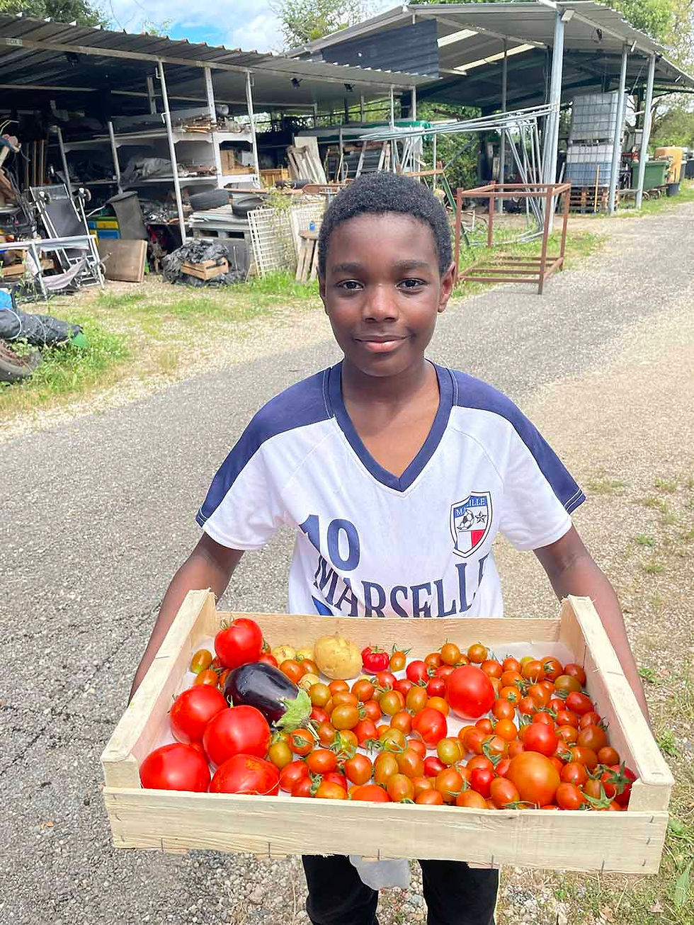 jeune-portant-cagette-tomates