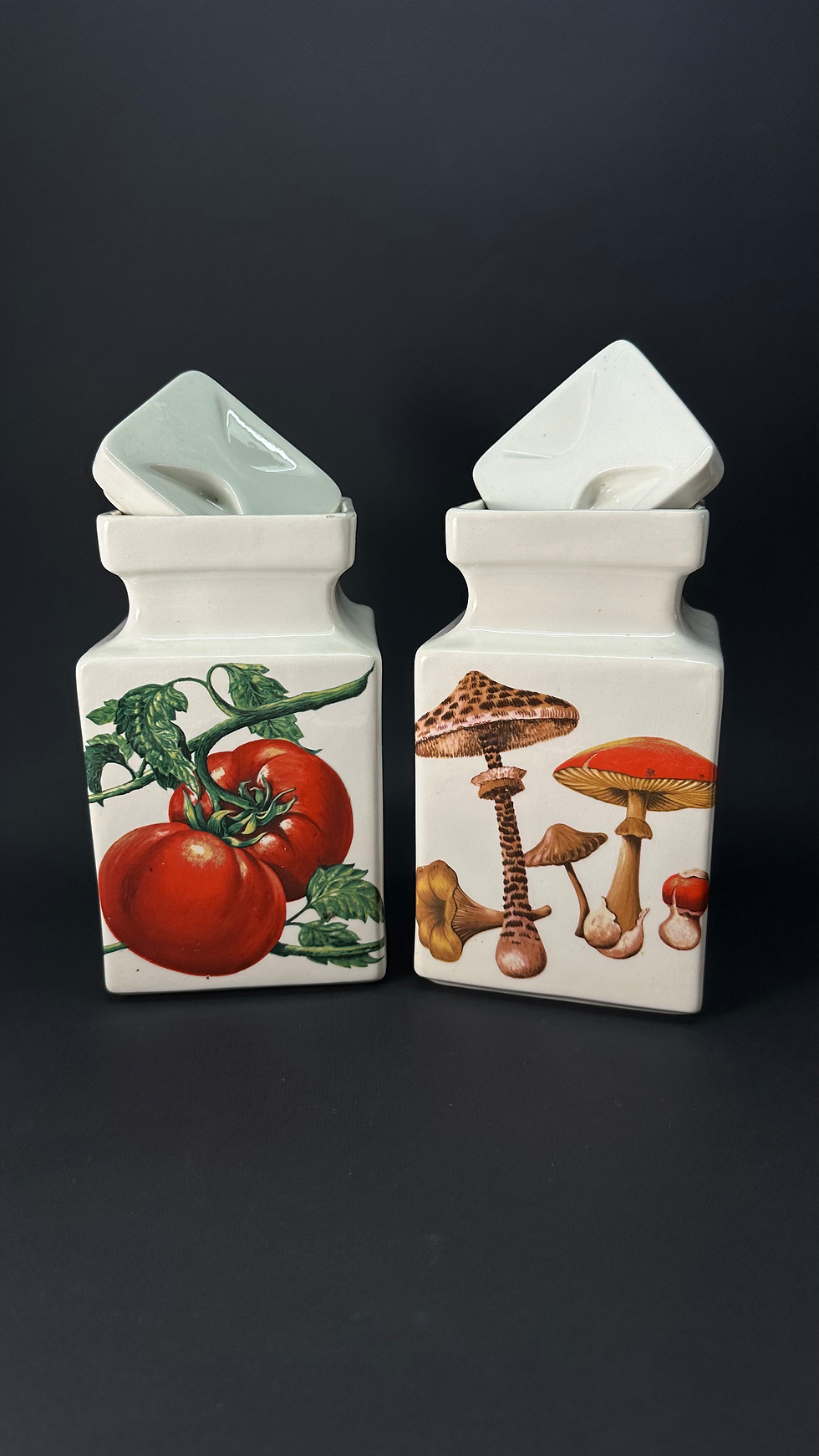 Miniatura: 4 Canister o especieros Fanaloza 1960
