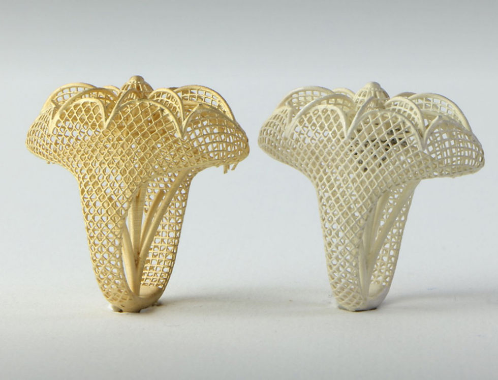 תמונה ממוזערת: BC LS Formlabs