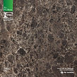 Formica Cygnus Gloss_0.jpg