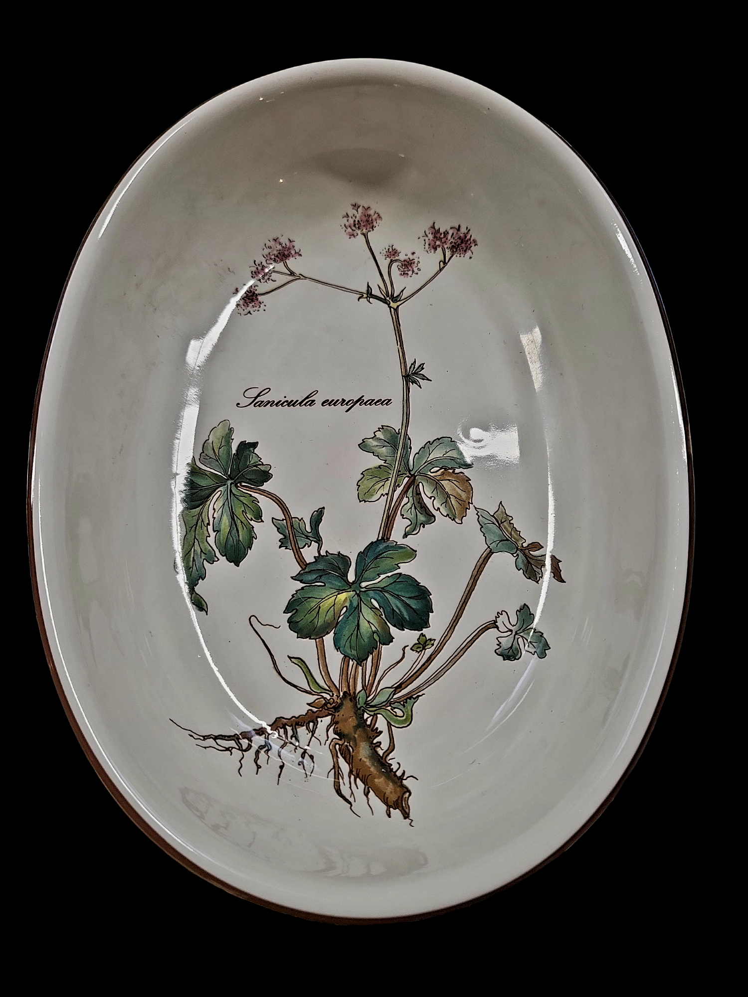 Plat Villeroy et Boch collection Botanica 
