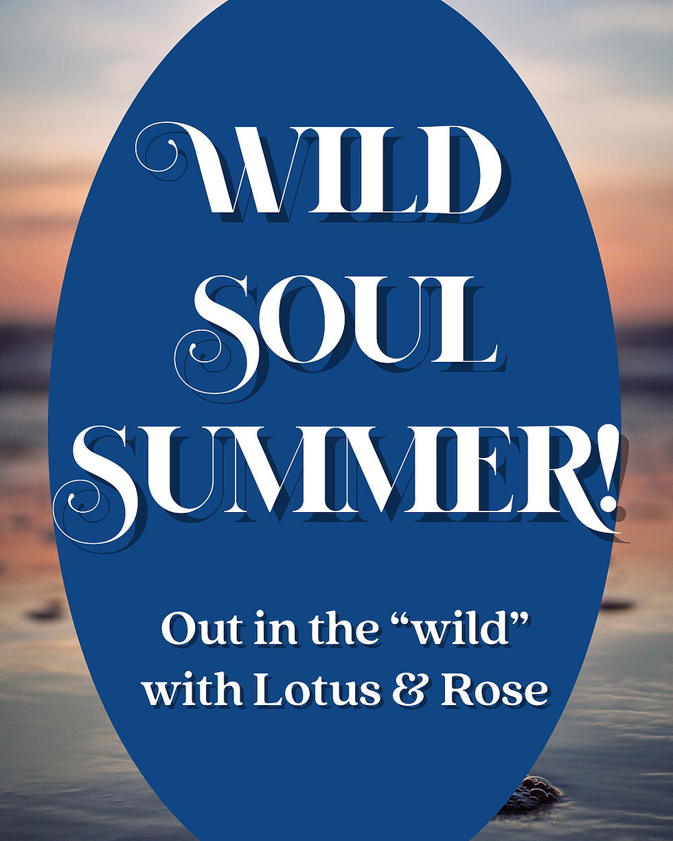 Wild Soul Summer! Inspiration Rocks with Courtney!