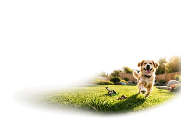 dog_transparent_fixed321.png