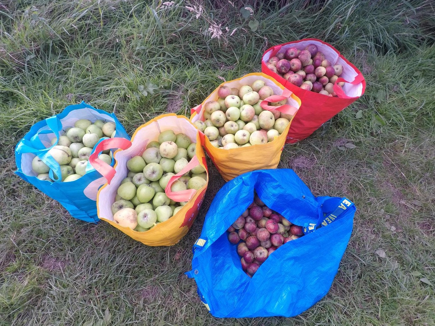 Welsh Producers Welsh Perry & Cider Society