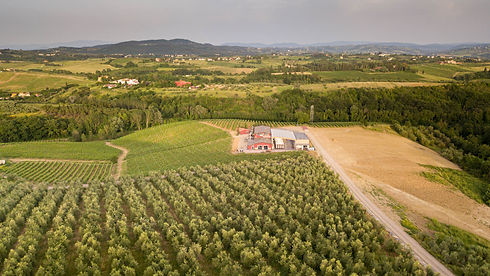 Esterno Cantina
