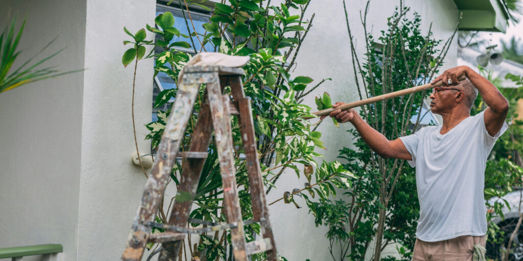 House Renovation Strategies