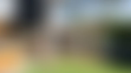 The Architectural Edge in Custom Home Building