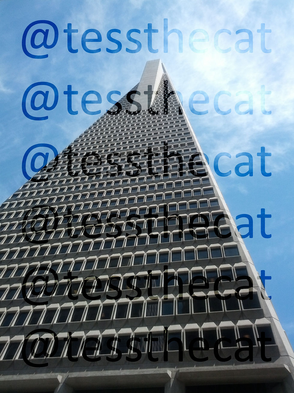 Transamerica Pyramid 08.2014
